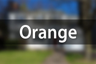 Active Listings in Orange